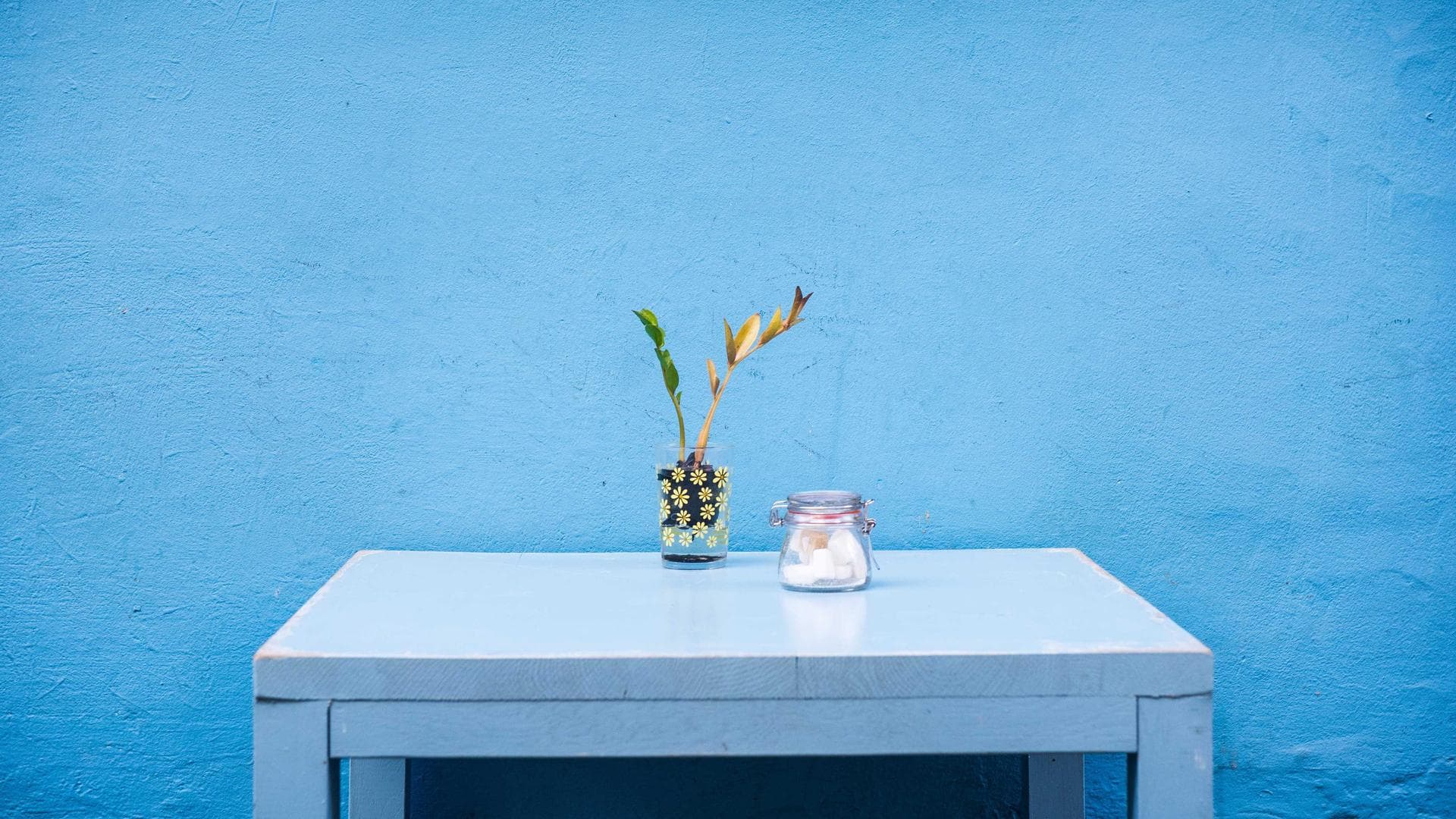 Elevate Your Home